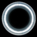 123745_4_3.jpg